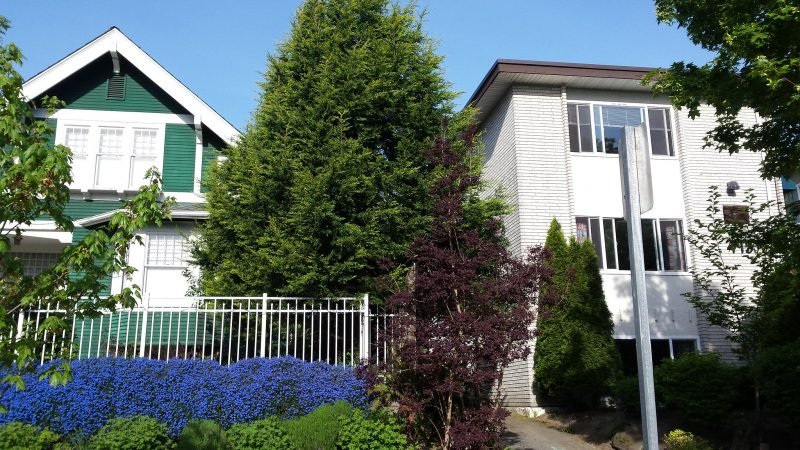 48057777127_9fcbac17ef_k-800x450