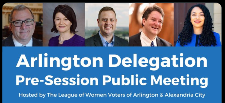 action-network-ARL_Delegation.PNG