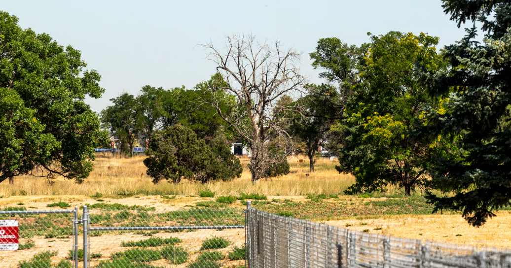 park hill golf course